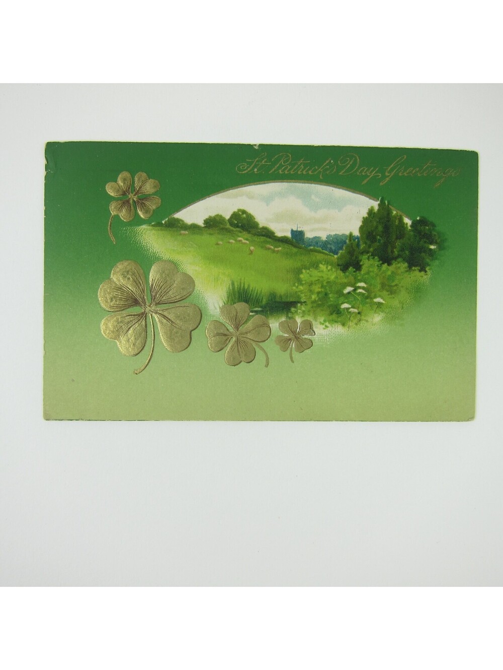 St. Patricks Day Postcard Sheep Field Pasture Land Gold Shamrocks Antique 1909